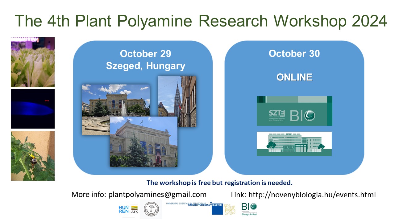 polyamine